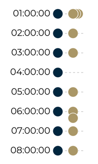 Time Series Timeline